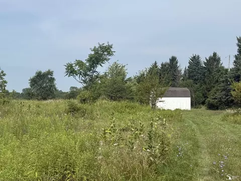 0 Wilcox, Dundee, MI 48131 photo 18