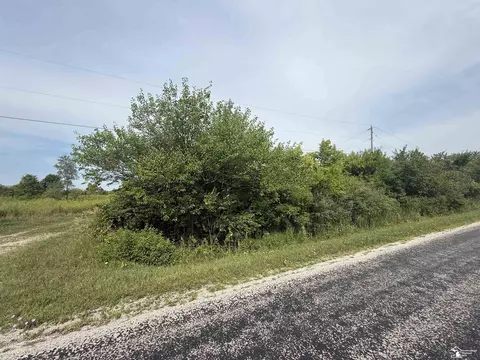 0 Wilcox, Dundee, MI 48131 photo 2