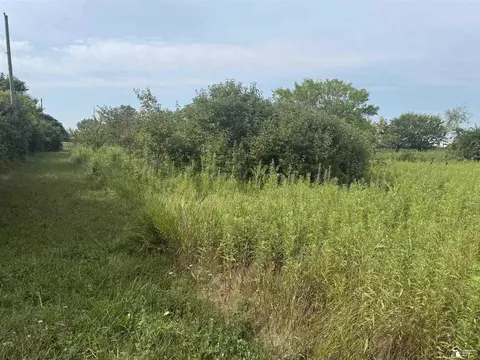 0 Wilcox, Dundee, MI 48131 photo 13