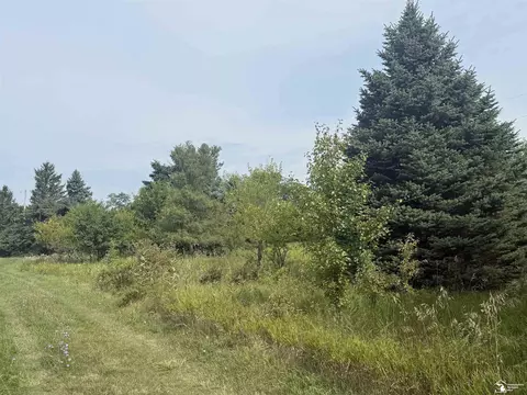 0 Wilcox, Dundee, MI 48131 photo 12