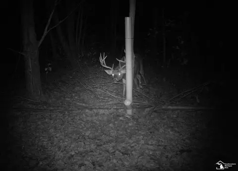 Other - 2293 Steiner, Monroe, MI 48162 photo 27 of 28