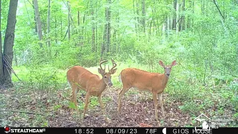 Other - 2293 Steiner, Monroe, MI 48162 photo 28 of 28