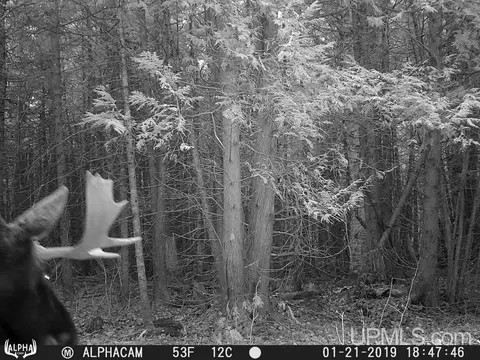 Other - 1094 Rm, Rock, MI 49880 photo 13 of 54