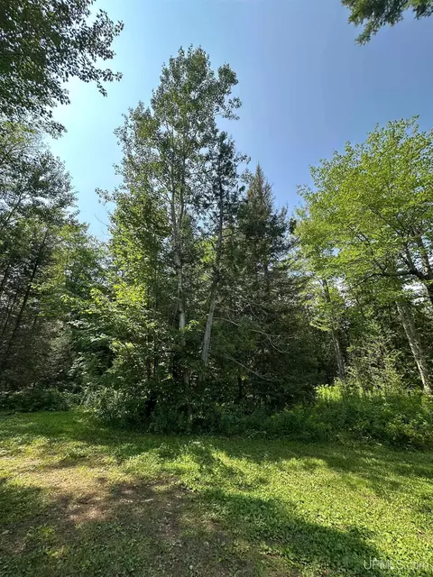 Exterior - 1094 Rm, Rock, MI 49880 photo 14 of 22