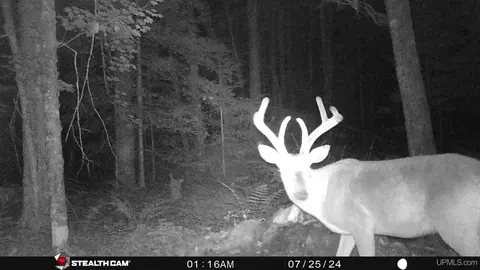 Other - 1094 Rm, Rock, MI 49880 photo 29 of 54