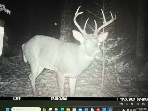 Other - 1094 Rm, Rock, MI 49880 photo 28 of 54
