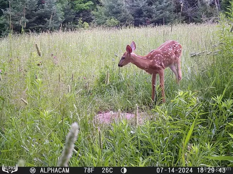 Other - 1094 Rm, Rock, MI 49880 photo 31 of 54