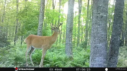 Other - 1094 Rm, Rock, MI 49880 photo 32 of 54