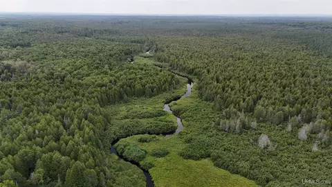 View/Area - 1094 Rm, Rock, MI 49880 photo 1 of 7
