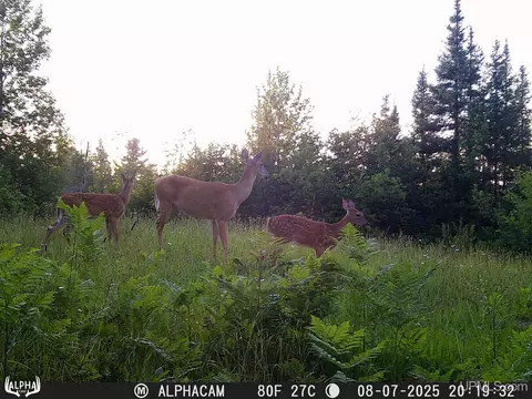 Other - 1094 Rm, Rock, MI 49880 photo 30 of 54