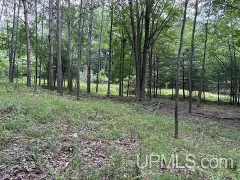 tbd E H, Iron Mountain, MI 49801