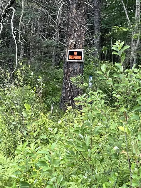 0 Walker, Roscommon, MI 48653 photo 9