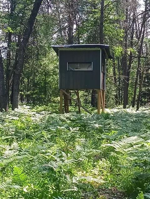 0 Walker, Roscommon, MI 48653 photo 6