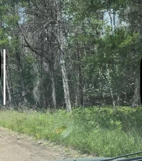 0 Walker, Roscommon, MI 48653 photo 10