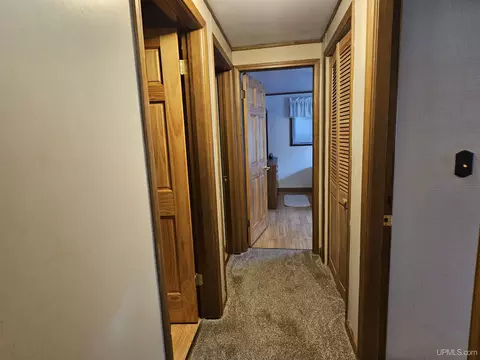 1029 Superior, White Pine, MI 49971 photo 13