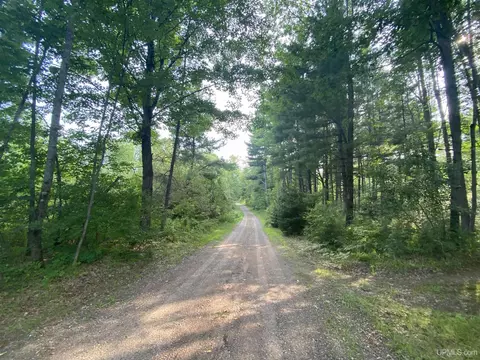 Tdb Wales-devils Icebox, Quinnesec, MI 49892 photo 13