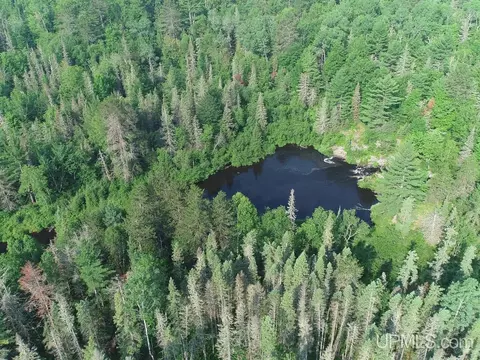 4753 W Tasson Rd, Ishpeming, MI 49849 photo 16