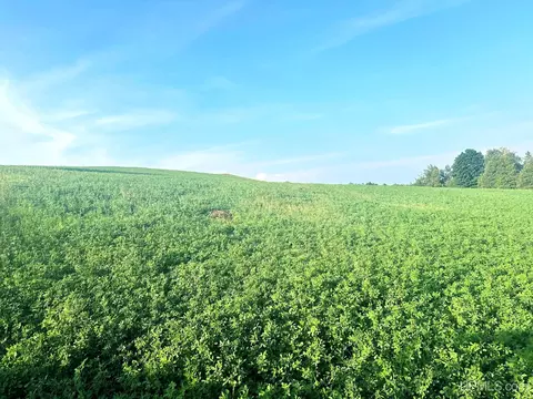 Co Rd 358, Daggett, MI 49821