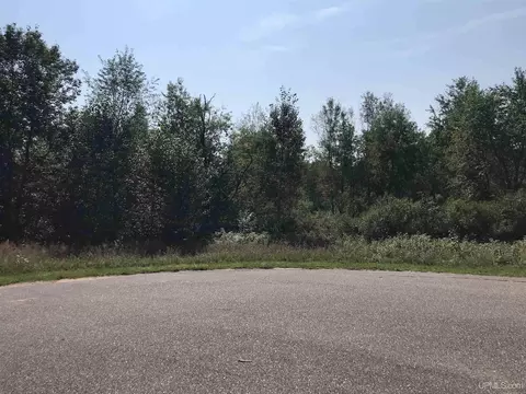tbd Meadowbrook Hls, Florence T-wi, WI 54121