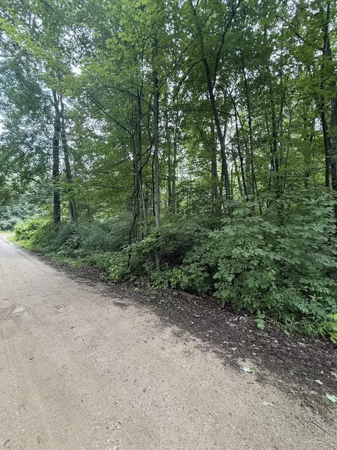4477 E Frst, Harrison, MI 48625 photo 3
