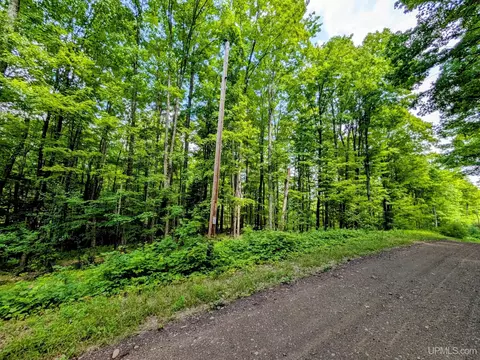 15 Acres Fettig, Iron River, MI 49935