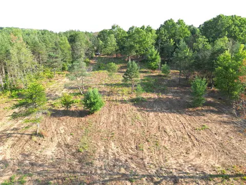 000 E 12, Manton, MI 49663 photo 5