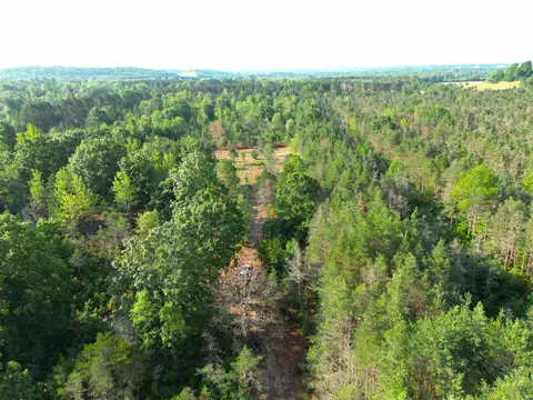 000 E 12, Manton, MI 49663