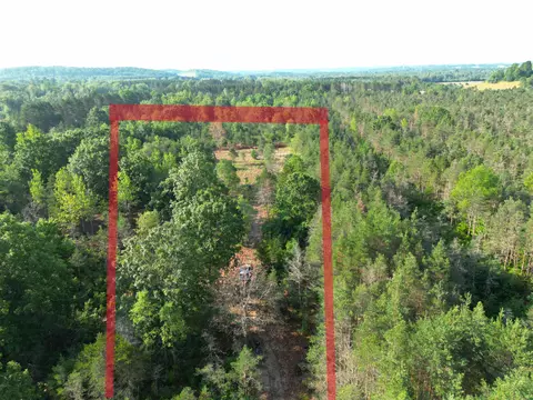 000 E 12, Manton, MI 49663 photo 2