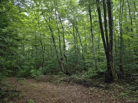 10 Acres Fisher, Newberry, MI 49868