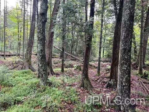 tbd Cable Lk, Amasa, MI 49903