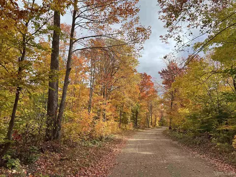 Other - e16916 Nevins Lake Drive, Shingleton, MI 49884 photo 19 of 19