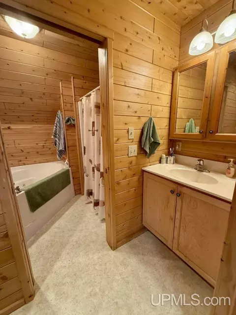 Bath - e16916 Nevins Lake Drive, Shingleton, MI 49884 photo 3 of 4