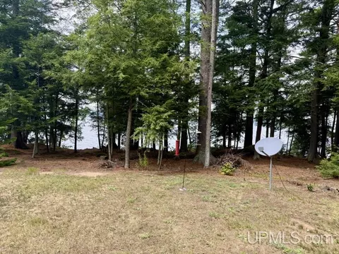 Exterior - e16916 Nevins Lake Drive, Shingleton, MI 49884 photo 12 of 14