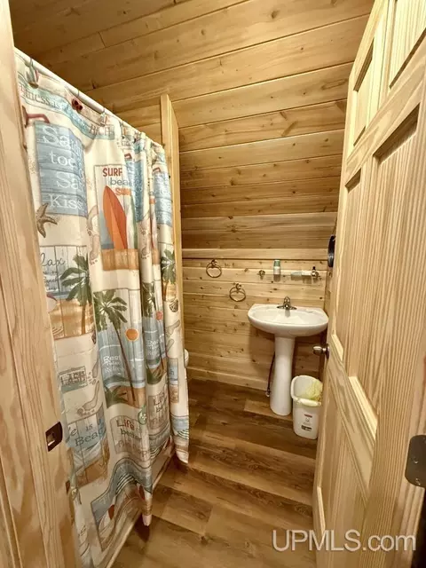 Bath - e16916 Nevins Lake Drive, Shingleton, MI 49884 photo 4 of 4