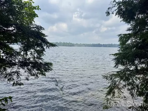 View/Area - e16916 Nevins Lake Drive, Shingleton, MI 49884 photo 4 of 10