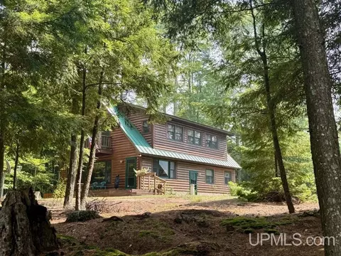Exterior - e16916 Nevins Lake Drive, Shingleton, MI 49884 photo 3 of 14