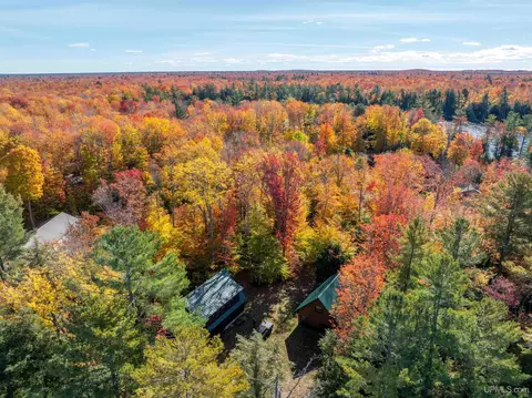 View/Area - e16916 Nevins Lake Drive, Shingleton, MI 49884 photo 10 of 10