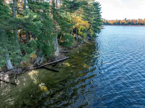 View/Area - e16916 Nevins Lake Drive, Shingleton, MI 49884 photo 2 of 10