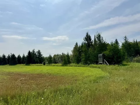 tbd Off 115 Rd, Bark River, MI 49807 photo 2