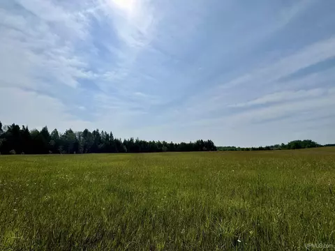 tbd Off 115 Rd, Bark River, MI 49807 photo 3