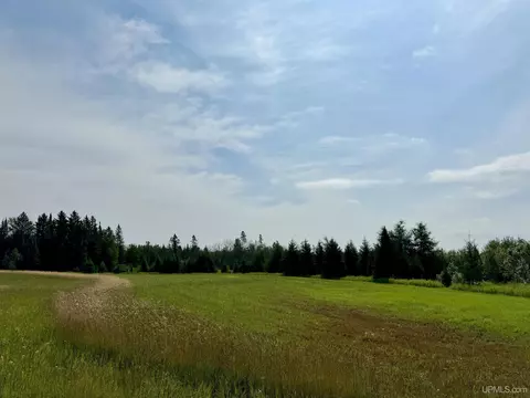 tbd Off 115 Rd, Bark River, MI 49807 photo 5