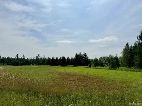 tbd Off 115 Rd, Bark River, MI 49807 photo 4