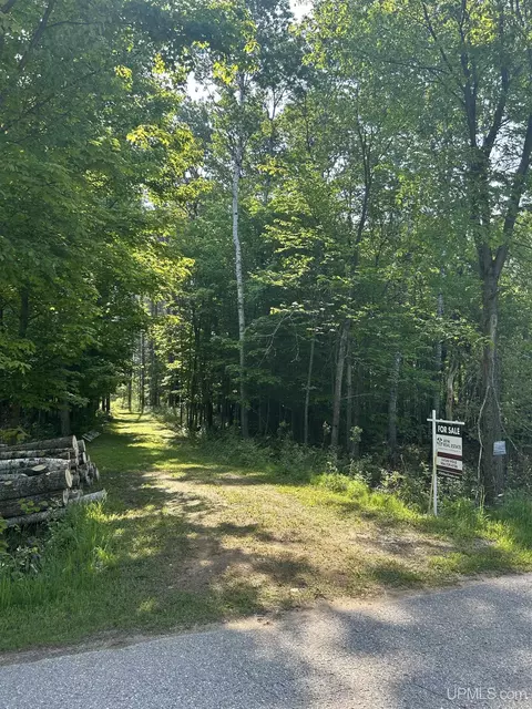 21553 Wilwin St, Trout Lake, MI 49793