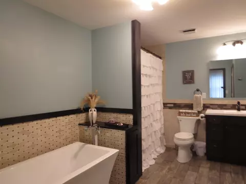 Bath - 1031 Chatterton, Gladwin, MI 48624 photo 4 of 7
