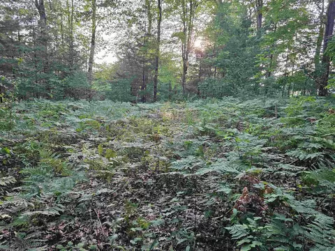 Hamilton, Harrison, MI 48625 photo 10