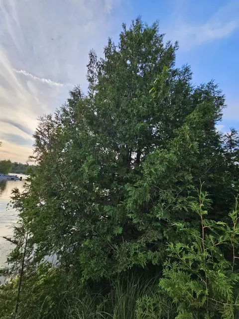 Hamilton, Harrison, MI 48625 photo 6