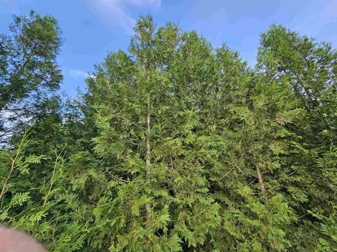 Hamilton, Harrison, MI 48625 photo 7