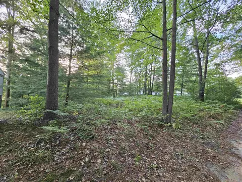 Hamilton, Harrison, MI 48625 photo 9