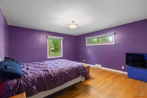 Other - 1320 E Oregon, Adrian, MI 49221 photo 9 of 19