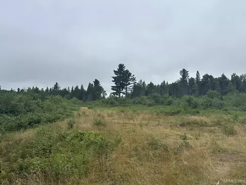 Off S Arfelin Lake, Michigamme, MI 49861